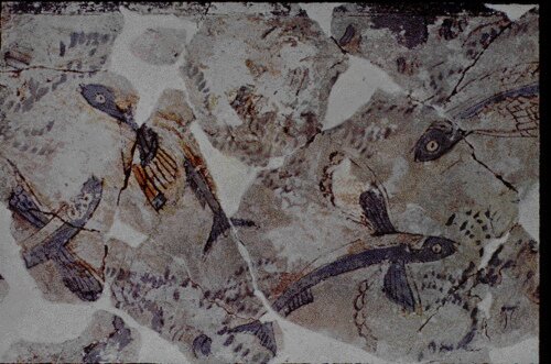 Minoan flying fishes
